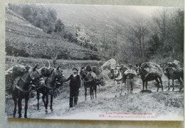 Muletiers Transporteur De Bois - Autres & Non Classés