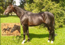 CM 360-1 Slovakia Horses 2005 - Pferde