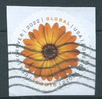 VERINIGTE STAATEN ETATS UNIS USA 2022 GLOBAL AFRICAN DAISY USED ON PAPER SN 5680 YT 5514 - Oblitérés