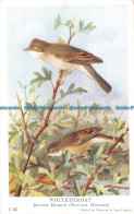 R074685 C83 Whitethroat. British Museum. Waterlow - World