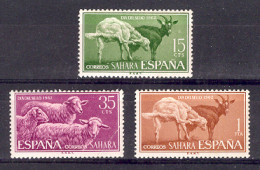 Sahara 1962 - Dia Del Sello - Cabra Ed 212-14 (**) - Dag Van De Postzegel