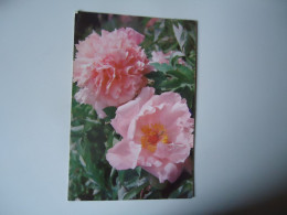 TAIWAN     POSTCARDS FLOWERS    MORE  PURHRSAPS 10% DISCOUNT - Taiwan