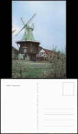 Twielenfleth-Hollern-Twielenfleth Ortsansicht Windmühle Mühle Twielenfleth 1980 - Autres & Non Classés