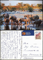 Tiere Elefant Olifante Afrikanische Elefeanten In S.W.A. (Namibia) 1981 - Éléphants