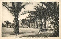 35 - Dinard - Les Palmiers De La Promenade Clair-de-Lune - CPA - Voir Scans Recto-Verso - Dinard