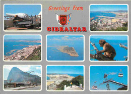 Gibraltar - Multivues - Singes - Blasons - Canon - CPM - Voir Scans Recto-Verso - Gibilterra