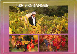 Vignes - Les Vendanges En Languedoc - Multivues - Vendanges - Raisins - Vin - CPM - Voir Scans Recto-Verso - Vines