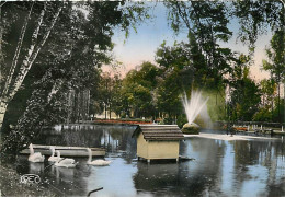 36 - Chateauroux - Le Lac Du Jardin Public - Cygnes - CPM - Voir Scans Recto-Verso - Chateauroux