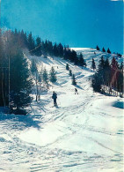 38 - Alpe D'Huez - Piste Du Signal De L'Homme - Hiver - Neige - Skieurs - CPM - Voir Scans Recto-Verso - Autres & Non Classés