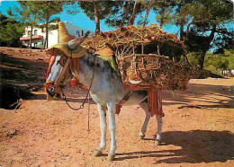 Animaux - Anes - El Burrito Bojitero - Folklore - Etat Pli Visible - CPM - Voir Scans Recto-Verso - Donkeys