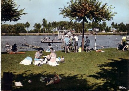 Seurre  La Plage (plongeoir Sur Le Lac,  Fille En Bikini ; Timbrée En 1960? - Sonstige & Ohne Zuordnung