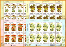 2022  Moldova Moldavie 4 Sheets  Mint  Mushrooms, Plants - Pilze