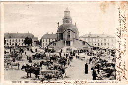 Schweden, Lidköping Torget M. Pferden U. Personen, 1904 Gebr. Sw-AK - Autres & Non Classés