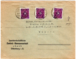 DR 1923, MeF 3x2 Mk. M. Symbol-perfin Auf Landwirtschafts Brief V. Oldenburg - Storia Postale