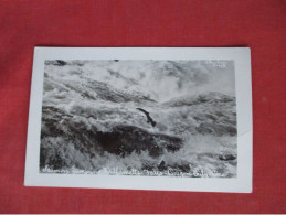 RPPC Salmon Jumping Fishway Willamette Falls      Ref 6407 - Pescados Y Crustáceos