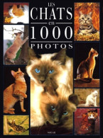 Chats 1000 Photos (1999) De Coppe - Animales