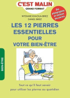 Les 12 Pierres Essentielles Pour Votre Bien-être C'est Malin (2017) De Daniel Briez - Esoterik