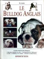 Le Bulldog Anglais (2001) De Micaela Cantini - Animaux