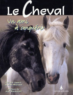 Le Cheval : Un Ami à Conquérir (2003) De Gérard Lippert - Deportes