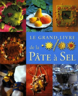Le Grand Livre De La Pâte à Sel (1999) De Frédérique Crestin-Billet - Tuinieren