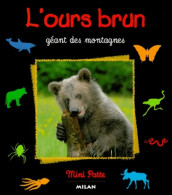 L'Ours Brun : Géant Des Montagnes (1999) De Valérie Tracqui - Other & Unclassified