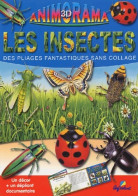 Les Insectes : Des Pliages Fantastiques Sans Collage (2003) De Daniel Boudineau - Autres & Non Classés