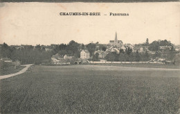 Chaumes En Brie * Panorama Et Route Du Village - Autres & Non Classés