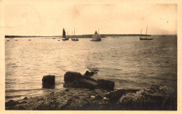 Séné * Vue Du Golfe Du Morbihan - Sonstige & Ohne Zuordnung