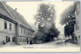 50846208 - Wildemann - Wildemann