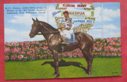 Nashua, Jockey Eddie Arcaro Up Winnter Of The 1955 Florida Derby At Gulfstream Park  Ref 6407 - Pferde