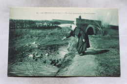 La Brière, Un Coin Pittoresque à Pont L'Oiseau, Loire Atlantique 44 - Other & Unclassified