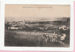 SEUZEY EN 1914 VUE DE LA PARTIE HAUTE DU VILLAGE ANIMEE - Sonstige & Ohne Zuordnung