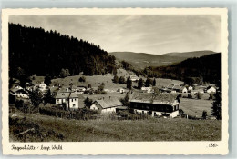 39317408 - Regenhuette B Bayerisch Eisenstein - Sonstige & Ohne Zuordnung