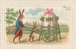 CPA - Illustrateur  - Lapin - Before 1900