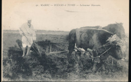 Maroc -- Scenes Et Types --- Laboureur Marocain - Autres & Non Classés