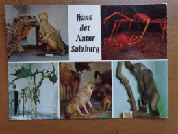 Haus Der Natur, Salzburg --> Written - Sonstige & Ohne Zuordnung