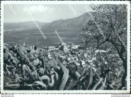 Bm554 Cartolina Monreale Panorama Provincia Di Palermo - Palermo