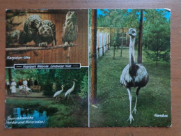 Zoo, Dierenpark, Tierpark / Vogelpark Walsrode --> Unwritten - Vogels