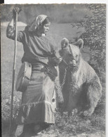 MONTREURS D'OURS, Bohémienne - Non Classés