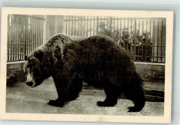 39685708 - Wien 13. Bezirk, Hietzing - Bears