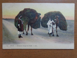 Kameel, Chameau, Camel / Chameaux Chargès De Paille --> Unwritten - Other & Unclassified