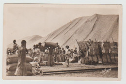 Sénégal /  KAOLACK -- Manutention D'arachides (mise En Sacs). - Sénégal