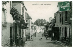 41 - B3760CPA - MOREE - Hotel Saint Pierre - Très Bon état - LOIR-ET-CHER - Moree