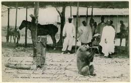 0 - T10237CPA - SENEGAL - Boubou Aime Bien Le Vin - Carte Pionnière - Très Bon état - AFRIQUE - Senegal