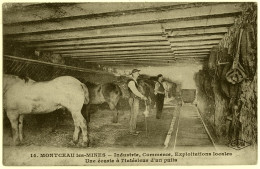 71 - T16774CPA - MONTCEAU LES MINES - Une Ecurie - Interieur D' Un Puits - Bon état - SAONE-ET-LOIRE - Montceau Les Mines