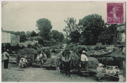 79 - B17990CPA - ARCAIS - Le Port - Très Bon état - DEUX-SEVRES - Autres & Non Classés