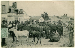 58 - T1110CPA - CORBIGNY - La Foire Aux Chevaux - Assez Bon état - NIEVRE - Corbigny