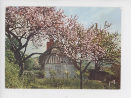 La Luxuriante Normandie, En Vallée D'Auge, Petite Chaumière Dans Un éclatant Paysage De Printemps (cp Vierge N°440 Yvon) - Basse-Normandie