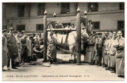 Ecole Nationale Vétérinaire. Opération Au Travail Bourgelat - Maisons Alfort