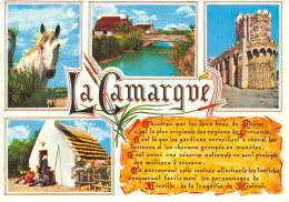 13-LA CAMARGUE-N°3809-B/0195 - Other & Unclassified